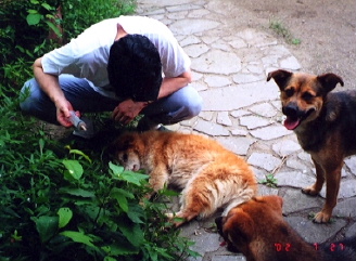 d0062009_7524136.jpg