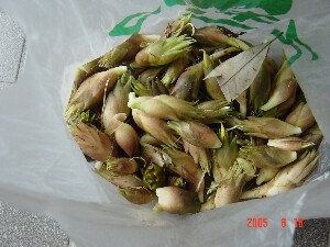 c0009528_23505513.jpg