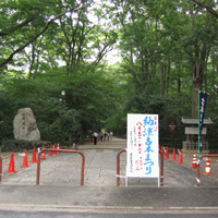 d0033734_1119389.jpg