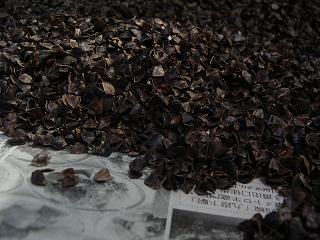 b0025943_19184286.jpg