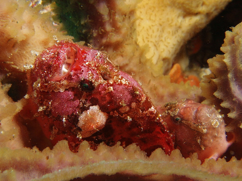 d0021952_684057.jpg