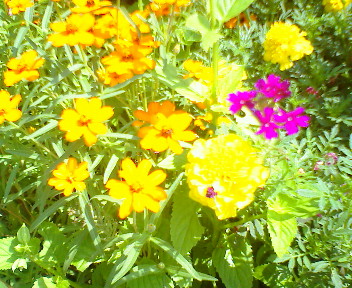 e0044552_11216100.jpg