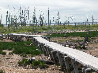 e0004756_19545891.jpg