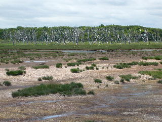 e0004756_19585491.jpg
