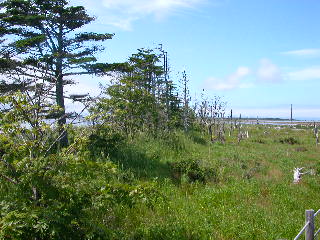 e0004756_20191362.jpg