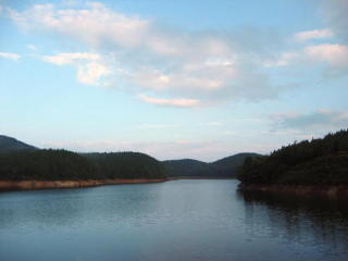 a0002763_4294093.jpg