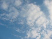 a0002763_4442535.jpg