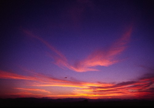 e0029582_215939.jpg