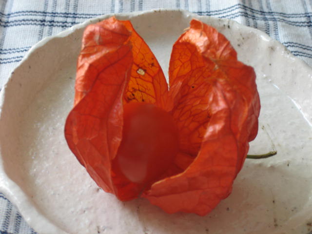 e0051194_18183040.jpg