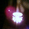a0013236_1719059.jpg