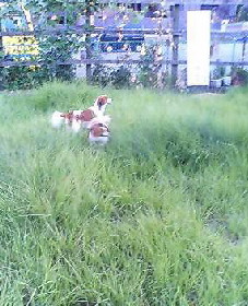d0013149_230221.jpg