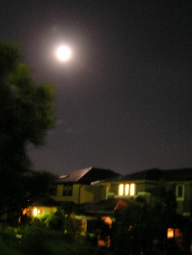 a0003150_11143186.jpg