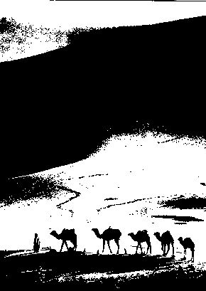d0063550_8584995.jpg