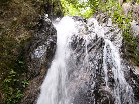 e0017051_20401930.jpg