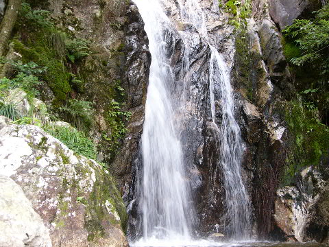 e0017051_2040541.jpg