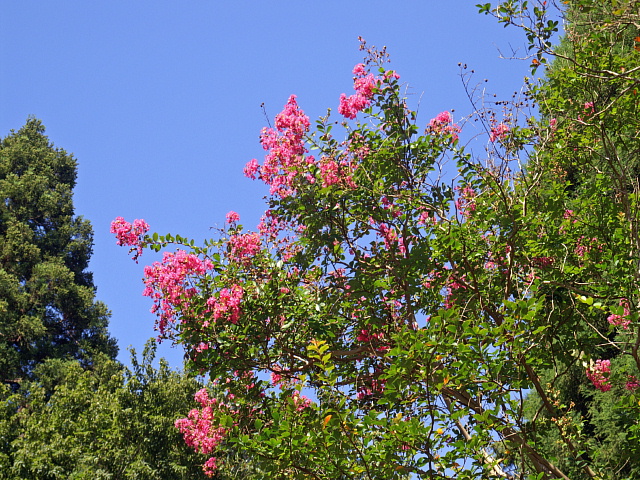 e0006964_17515971.jpg