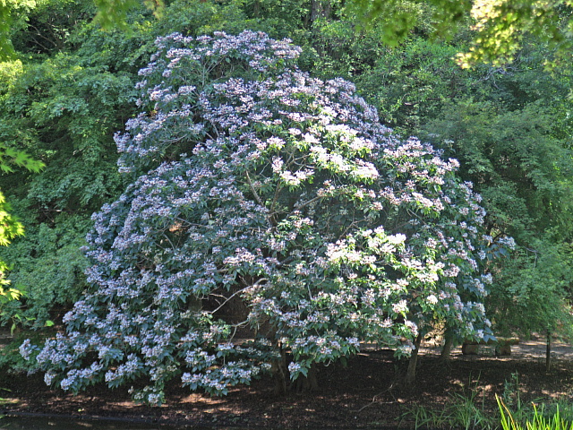 e0006964_17522483.jpg
