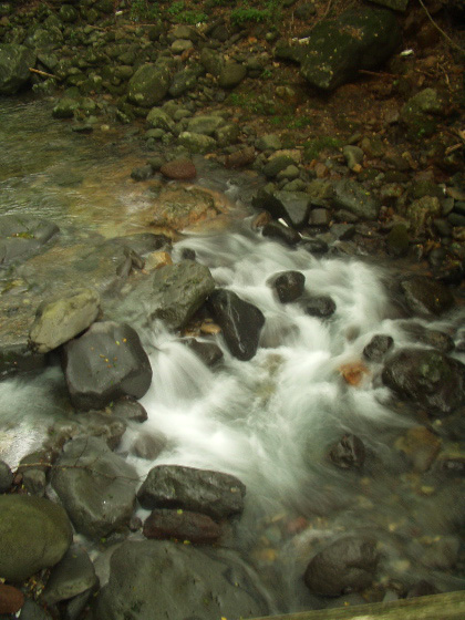 a0019094_23453462.jpg
