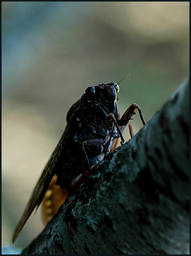 e0032399_16425299.jpg