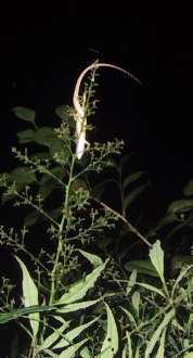 c0056903_17554525.jpg