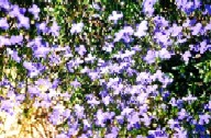 c0062603_1244654.jpg