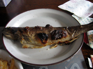 b0059509_948791.jpg
