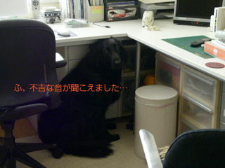 c0012120_23325753.jpg