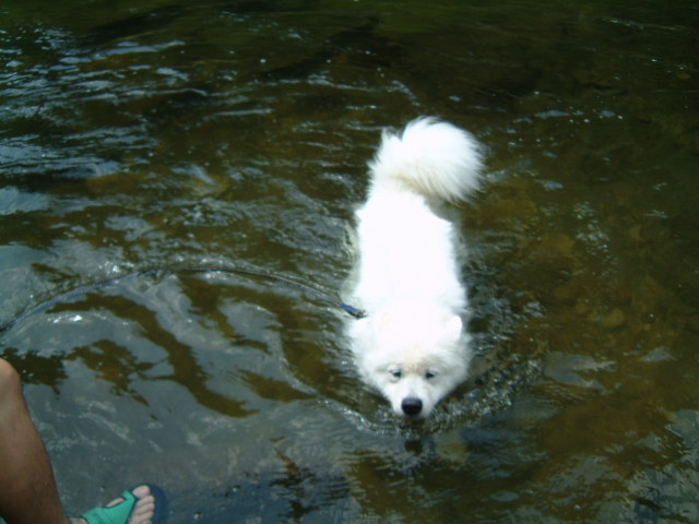 e0024126_16301797.jpg