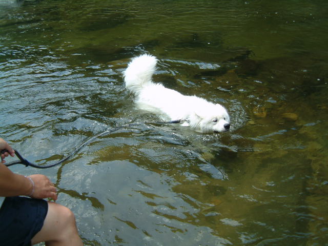 e0024126_16313652.jpg