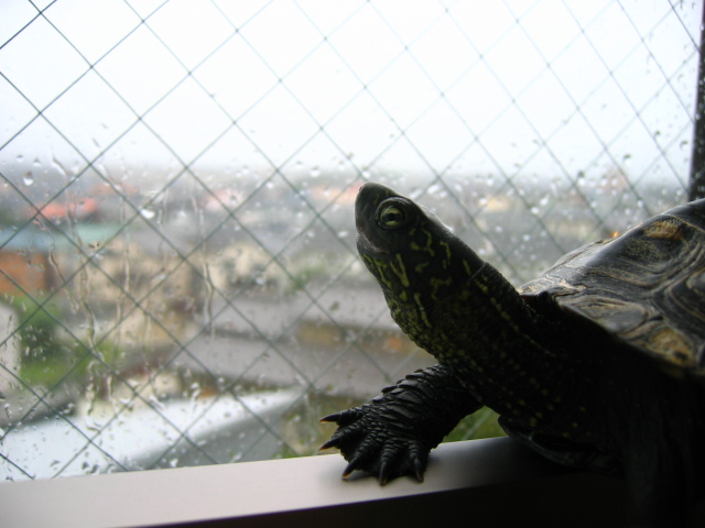 c0003036_17161652.jpg