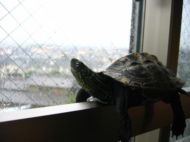 c0003036_1718328.jpg