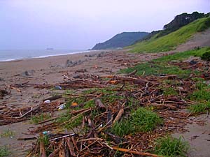 c0019338_11545230.jpg