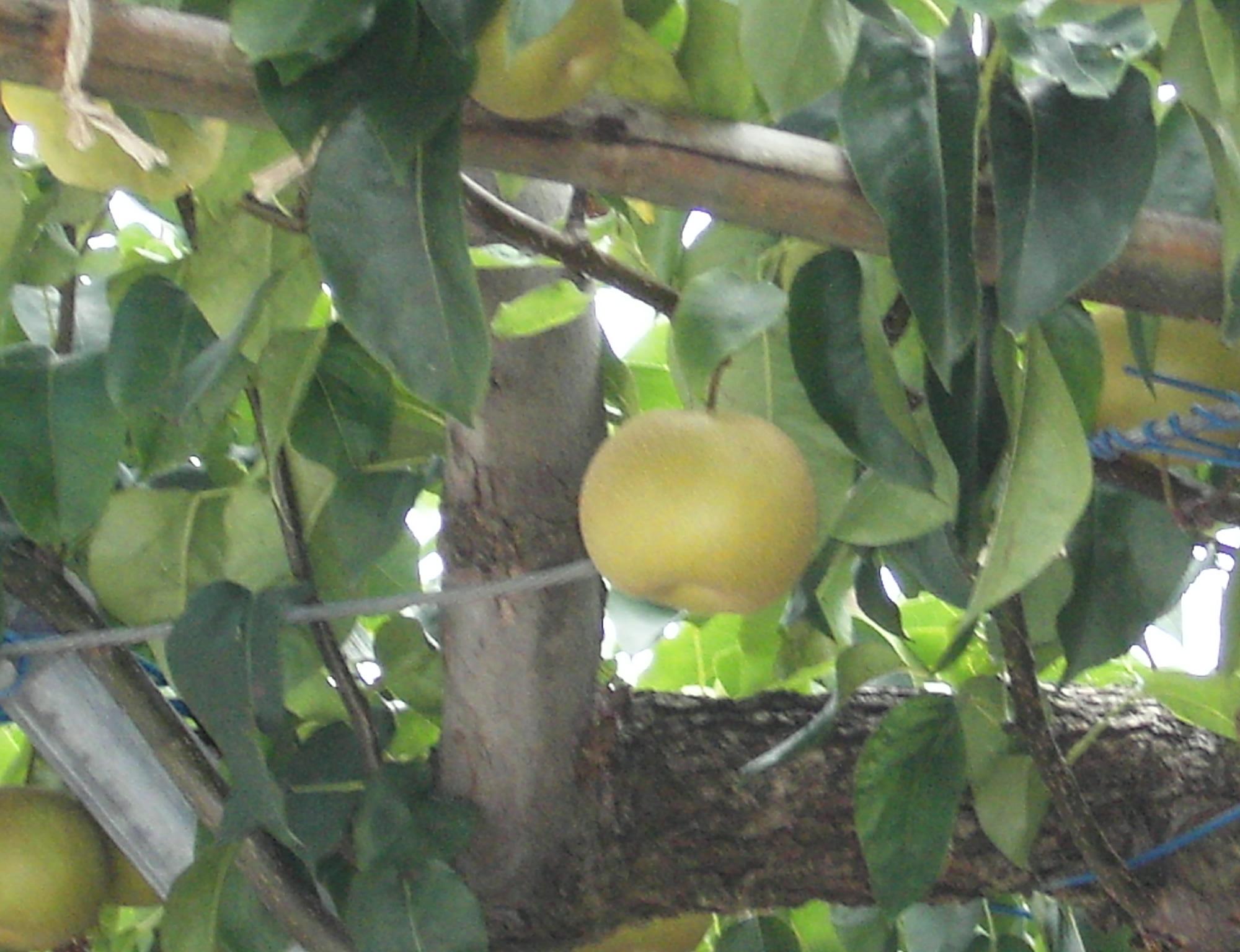 c0026846_2273360.jpg
