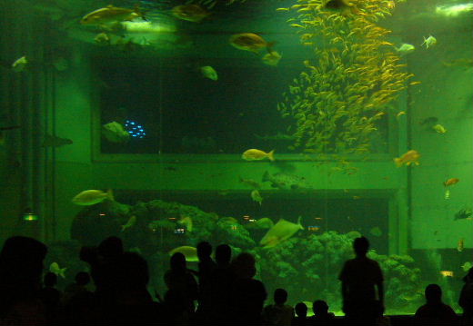 b0015260_14262549.jpg