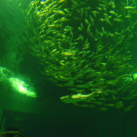 b0015260_14271647.jpg