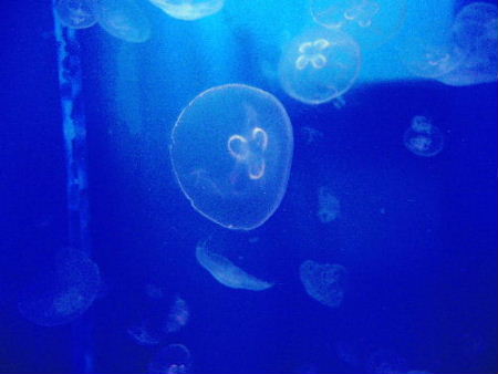 b0015260_14304789.jpg