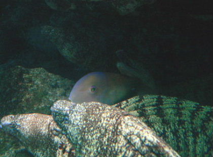 b0015260_1431167.jpg