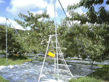 e0001170_15304527.jpg