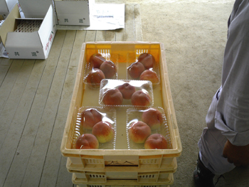 e0001170_1537821.jpg