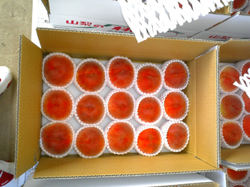 e0001170_15433825.jpg