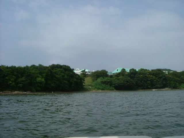 b0055171_1221166.jpg