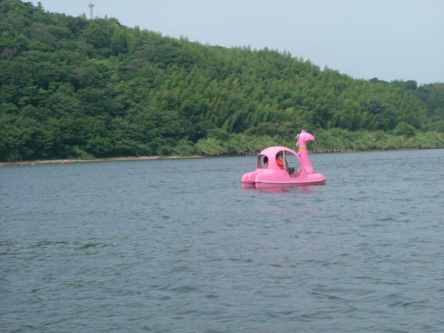 b0055171_1262995.jpg
