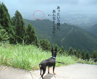 c0012571_13351032.gif