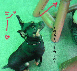 c0012571_13352829.gif