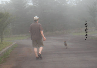 c0012571_13354568.gif