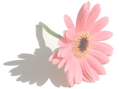 e0018777_2213385.jpg