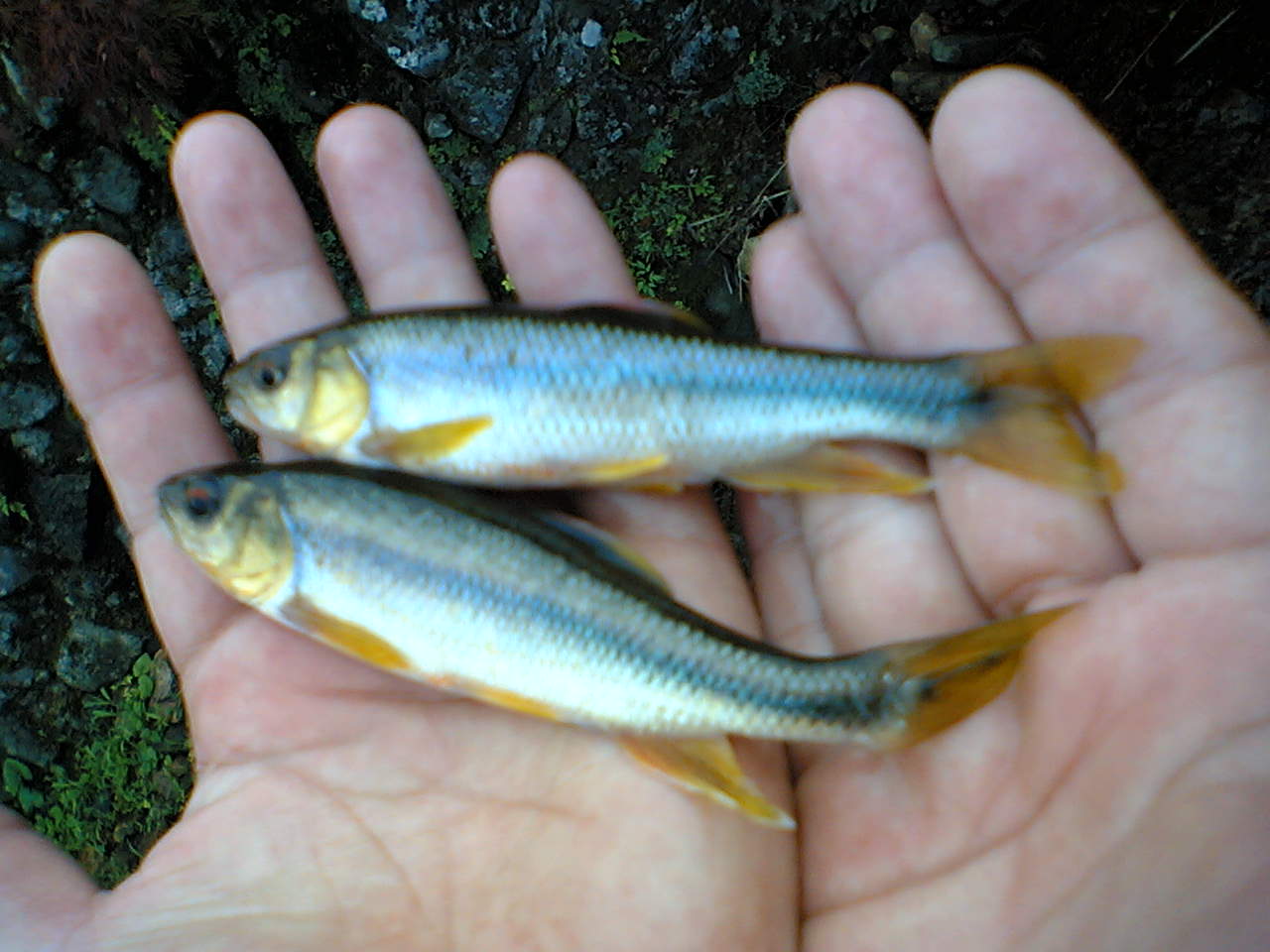 b0006896_6562894.jpg