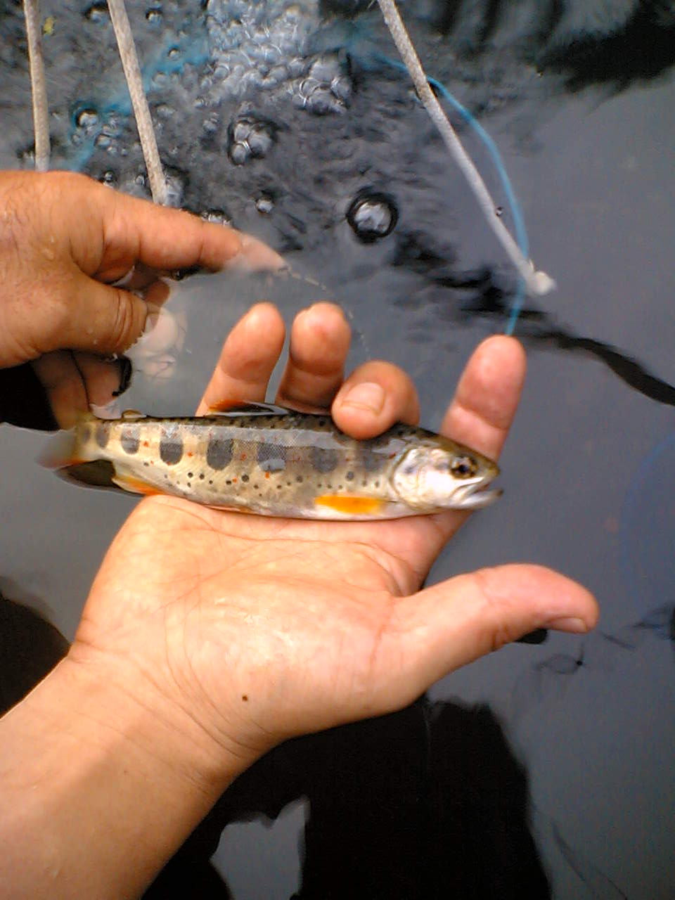 b0006896_6581091.jpg