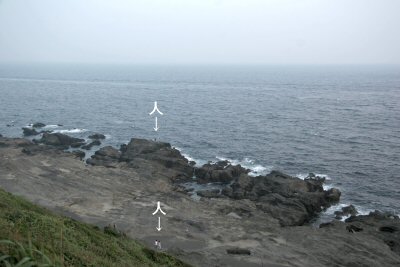 c0050400_17232072.jpg