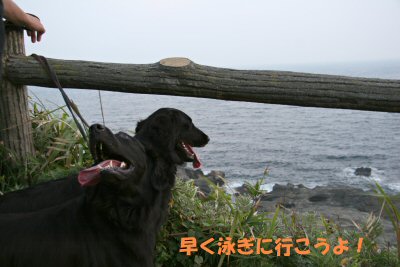 c0050400_17281759.jpg
